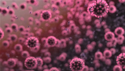 蔡少琪院長詩篇16篇勉教牧：愈艱難神愈是出路