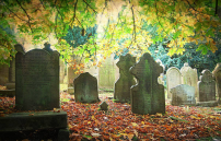 英國新冠肺炎逾5千人死 聖公會設指南供教友網上追思