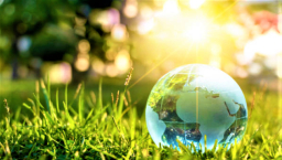 教宗頒《願祢受讚頌》5周年 亞洲教會促信徒綠化地球