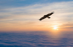 牧者證道:港信徒儲備屬靈資產迎長遠艱難