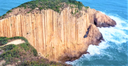 香港忠僕事奉中心首辦《環保宣教課程》 配合海岸實地研習生態