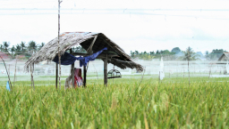 疫病襲東南亞 糧食利誘基督徒改信仰