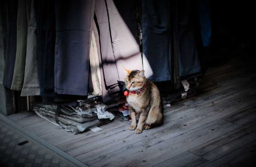 工福明光社10機構呼籲 疫下援助基層家庭