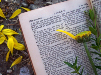 調查:新冠病毒嚴峻 美國人每天讀經不足一成