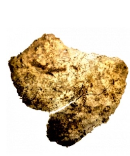 教堂廢墟發現五世紀聖杯碎片 助解英國基督教史