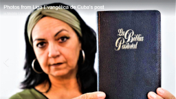 古巴亲政府领袖否认