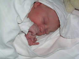 川普簽署行政命令保護流產嬰兒：捍衛神聖生命權