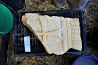 五餅二魚神蹟伯賽大遺址重現 推翻在約旦以東二百年流傳