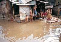 孟加拉疫情天災夾擊 國際組織助信徒畜牧長遠紓困