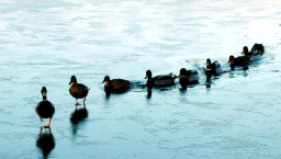 寇紹恩牧師談領袖特質：具影響力導人回正軌