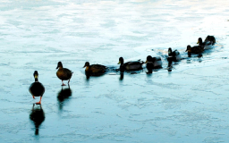 寇紹恩牧師談領袖特質:具影響力導人回正軌