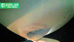 人權機構主管向北韓施放《聖經》氣球遭起訴