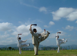 宗教調查:瑞士人耍太極氣功瑜加提升靈氣