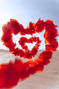 性成癮離婚率達五成 心理學家:色情扭曲愛