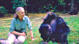 研究「黑猩猩社群」學家獲科研獎 信仰啟蒙物種平等