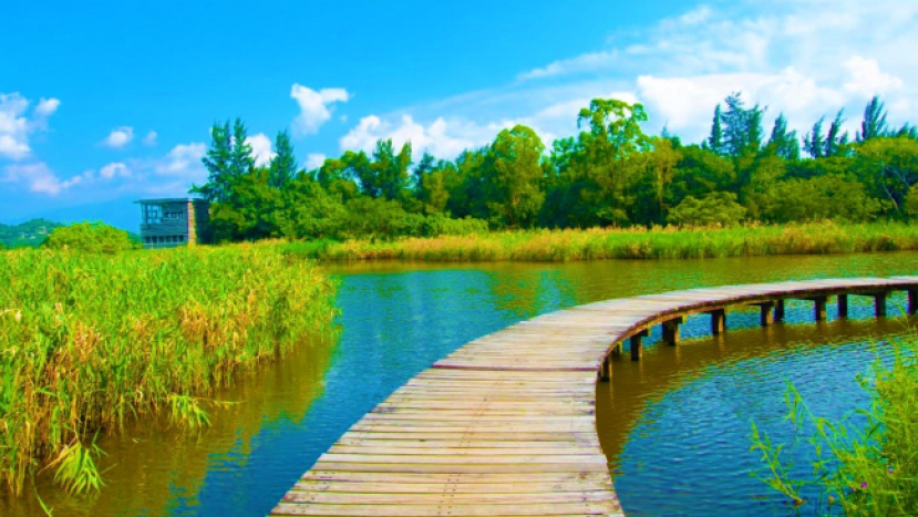 團體發起環保聯署 促港府加快立法保護海洋