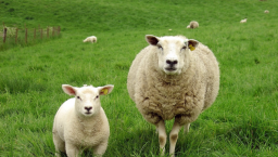 大衛城禱告會：社運青年流失籲父親尋迷羊