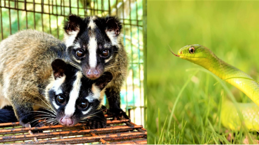 新福環保Live Talk II 青年保育者接觸大自然之路