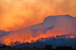 聯合國報告:下世紀氣溫升2度 教會救災人類希望