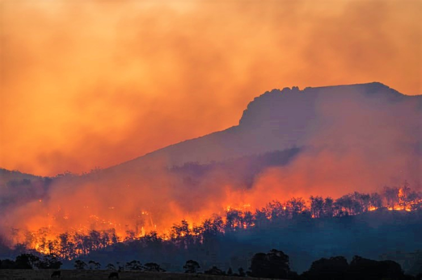 聯合國報告：下世紀氣溫升2度 教會救災人類希望
