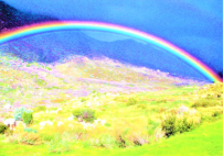 上帝救災5方法：做好準備實事求是