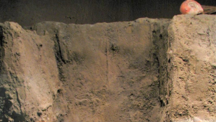 窮人自願了結生命? 評昆士蘭安樂死法案