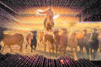 「電子牧人」拯救失喪「電子羊」 網絡世界有聖靈?