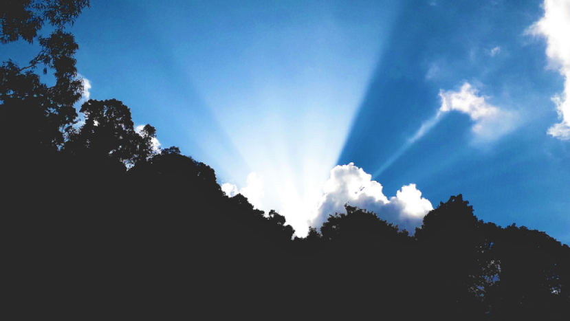 現代《失樂園》 教授出書斥荒誕社會源於魔鬼