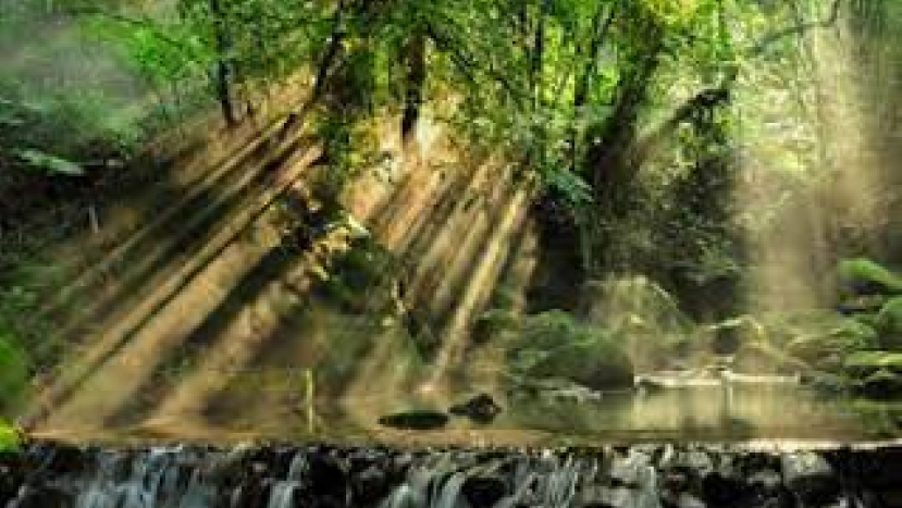 印度泛靈教村民強迫基督徒挖掘屍體