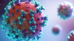 全球新冠確診突破3億 陳謳明大主教籲市民同心抗疫