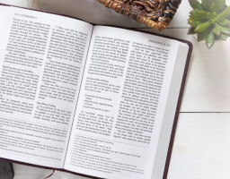 聖經《激情譯本》被指添加人意 遭刪除