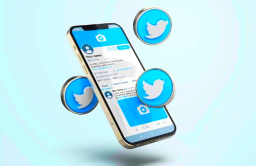 Twitter暫停議員帳戶 不容批生理男參女泳賽