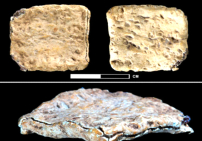 公元前1400年文物出土:巴勒斯坦銘文刻 「耶和華」名字