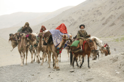 穆斯林齋戒月 祈禱冊揭開伊斯蘭世界與文化