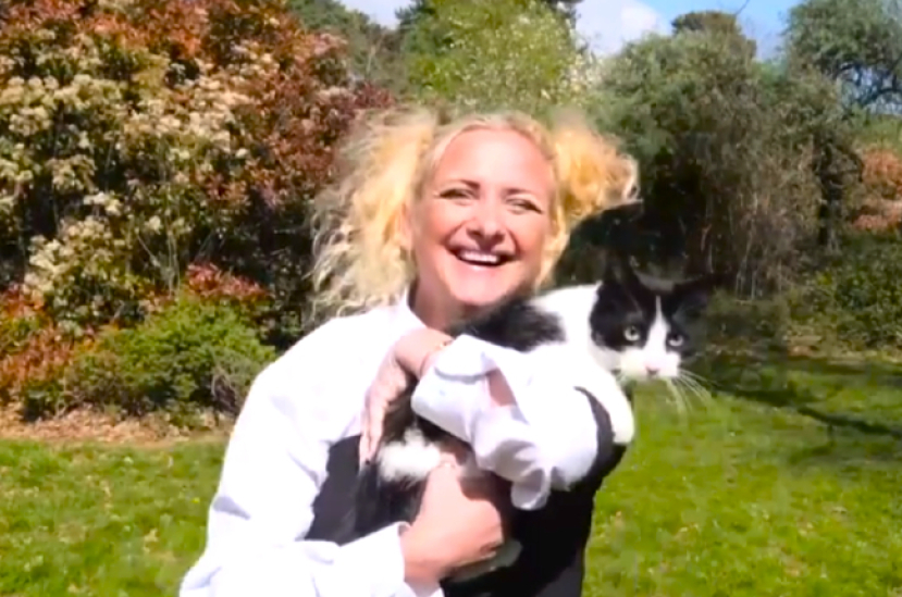 奇聞:英國人貓結婚竟然為了……