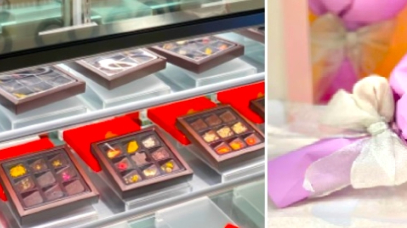 香港多間社企 支援婦女SEN青年疫下就業