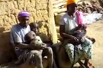 尼日利亞武裝分子殺害8名基督徒及兒童