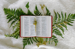 蓋洛普民調：美基督徒相信聖經是直譯下降至2成