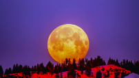 第二輪超級月亮現夜空 聖經：美麗智慧vs預兆