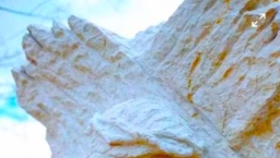 華人策略聯盟10月宣教論壇 加入元宇宙、難民議題