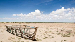 調查：美天主教徒、西班牙裔最關心氣候災難