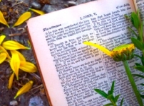 10節最受歡迎聖經經文 首位:約翰福音3章16節