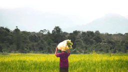 非美歐基督教團體聯署 呼籲兌現氣候變化承諾