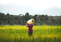 非美歐基督教團體聯署 呼籲兌現氣候變化承諾