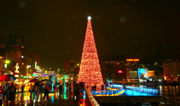 基隆聖誕樹點亮環保LED燈 打造基督興隆之城