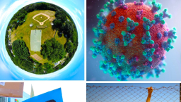 第56屆世界和平日文告:戰爭是沒疫苗的病毒