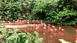 世界濕地日 動植物繁殖地半世紀消失35%