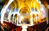 福音聯盟啟動護教中心 抗衡世俗挽回教會青年