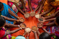 公平貿易組織倒閉 農民生計受影響