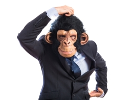 假如有一天黑猩猩問人類:我從哪裡來?